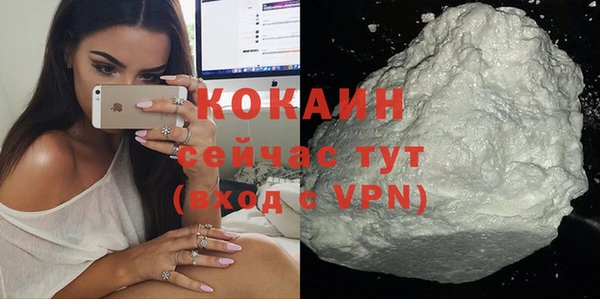 бошки Алексин