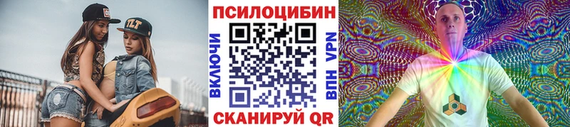 Купить закладки  Спас-Клепики  Галлюциногенные грибы GOLDEN TEACHER 